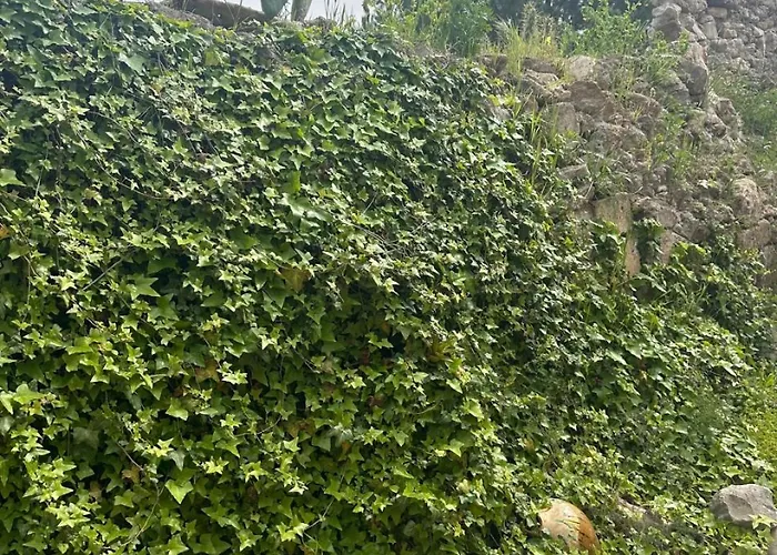 וילה Mbacc A Mar *